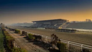 Orléans : incendie à l'hippodrome, la mairie appelle à éviter le secteur