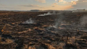 Orne : 23 hectares de végétation brûlés lundi après six départs de feu