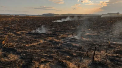 Orne : 23 hectares de végétation brûlés lundi après six départs de feu