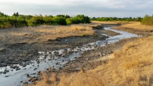 Orne : le préfet renforce les restrictions d&rsquo;eau face à la sécheresse