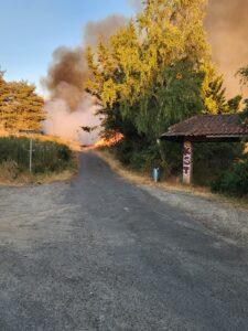 Saint-Étienne : 1,5 hectare détruit dans un incendie au Guizay