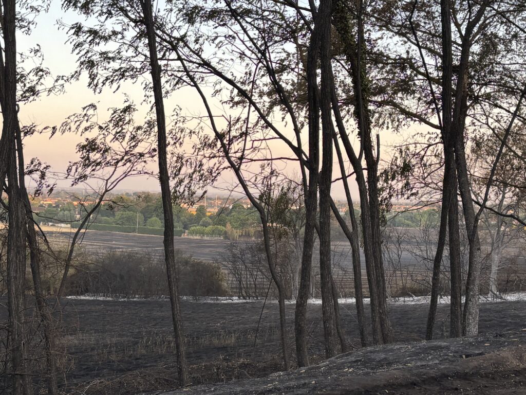 Castelginest : 66 hectares ravagés, 150 évacués, 30 maisons sauvées