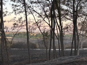 Castelginest : 66 hectares ravagés, 150 évacués, 30 maisons sauvées
