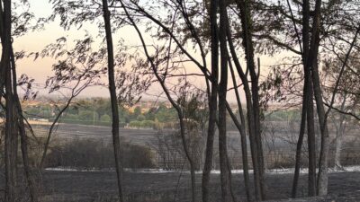 Castelginest : 66 hectares ravagés, 150 évacués, 30 maisons sauvées