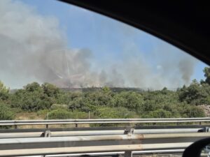 Poussan : incendie de végétation en cours, pompiers engagés