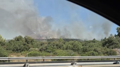 Poussan : incendie de végétation en cours, pompiers engagés