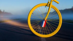 Paul Seixas, 19 ans, face à l&rsquo;attente du Tour : « Faire vibrer les Français »