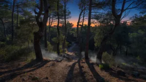 Père et fille hélitreuillés après cinq heures d&rsquo;errance en forêt à Rousson