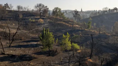 Plombières-lès-Dijon : l&rsquo;incendie de forêt maîtrisé après le confinement des riverains