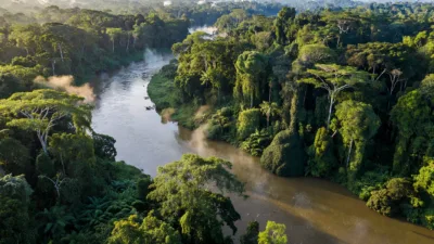 Pollution au mercure sur le Maroni : les associations font appel du jugement