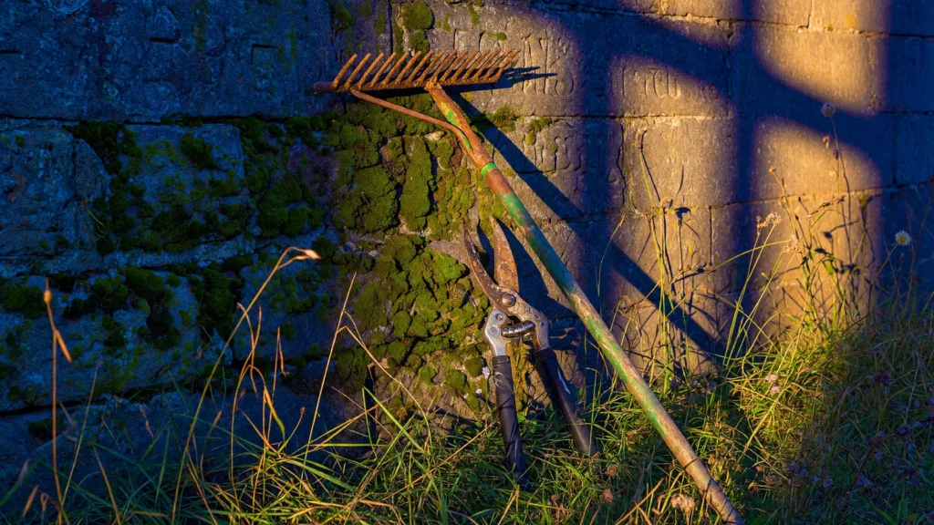 Pontarlier : critiques sur l'entretien du cimetière Saint-Roch