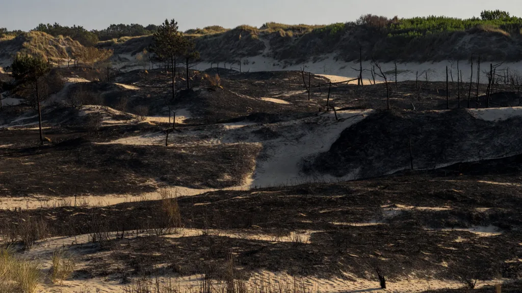 Port-Bail-sur-Mer : 21 hectares brûlés, 12 mobil-homes détruits par l'incendie