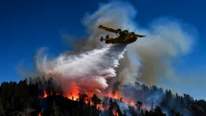 Portugal : 125 morts liés à la canicule, l&rsquo;état d&rsquo;alerte prolongé