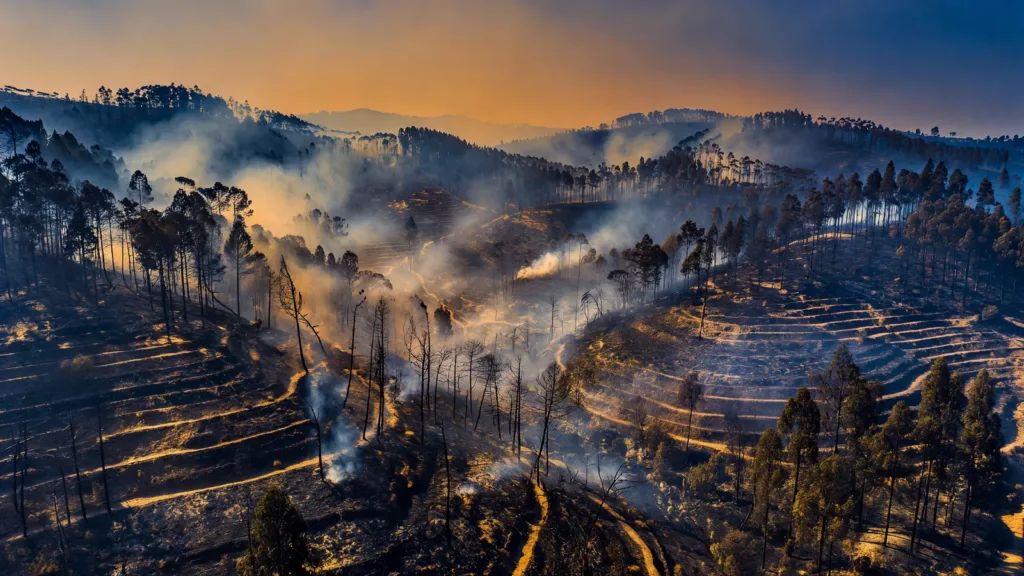 Portugal en alerte nationale face à une canicule extrême
