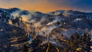 Portugal en alerte nationale face à une canicule extrême