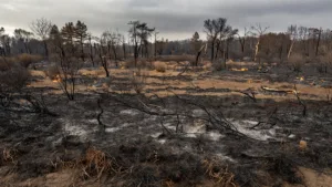 Prinquiau : sept incendies en quelques semaines, le maire porte plainte