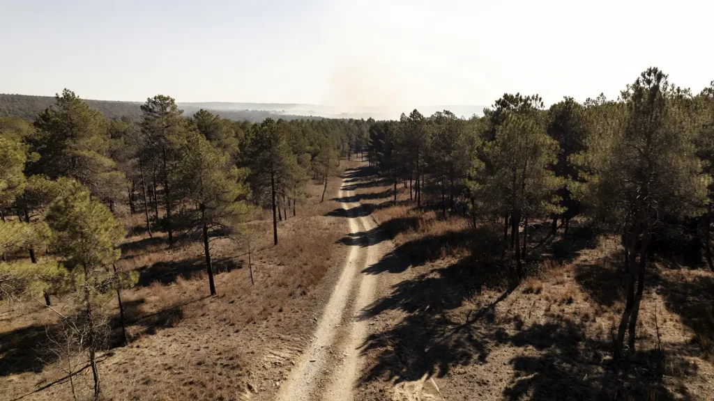 Puy-de-Dôme : la préfète renforce les restrictions face au risque incendie élevé