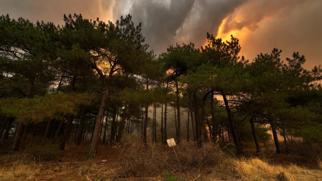 Puy-de-Dôme : restrictions renforcées face au risque élevé d'incendie jusqu'au 19 juillet