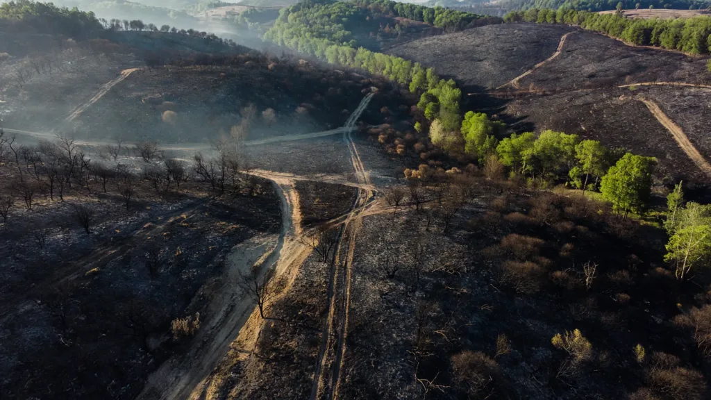 Puy-de-Dôme : un homme de 27 ans interpellé après un feu de 12 hectares