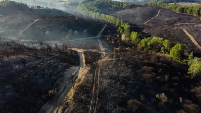 Puy-de-Dôme : un homme de 27 ans interpellé après un feu de 12 hectares