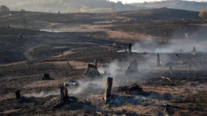 Puy-de-Dôme : un homme jugé ce lundi pour l&rsquo;incendie de 12 hectares à Gignat