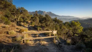 Pyrénées-Orientales : incendies et canicule freinent le tourisme estival