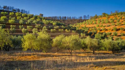 Pyrénées-Orientales : les agriculteurs érigent des remparts verts contre le feu