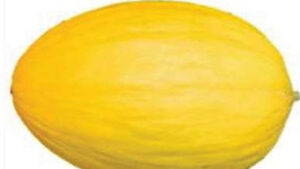 Rappel : ne consommez pas ce melon jaune d&rsquo;Aldi, dépassement de pesticides
