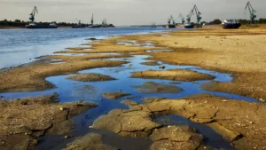 Rhin au plus bas : les Pays-Bas évitent le rationnement d&rsquo;eau