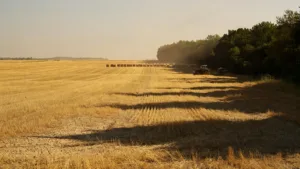 Risque d&rsquo;incendie en Lozère : la préfecture impose des restrictions horaires et de sécurité sur les travaux agricoles