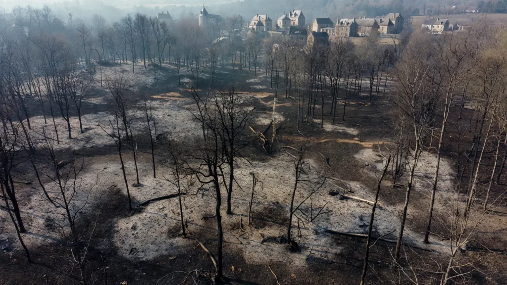 Ruaudin : 12 hectares brûlés, un pompier blessé dans l'incendie du 12 juillet
