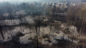 Ruaudin : 12 hectares brûlés, un pompier blessé dans l&rsquo;incendie du 12 juillet