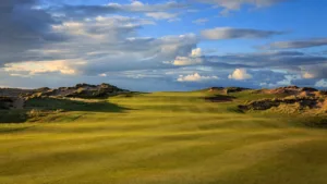 Ryan Fox remporte l&rsquo;Open Championship 2026 à Royal Birkdale