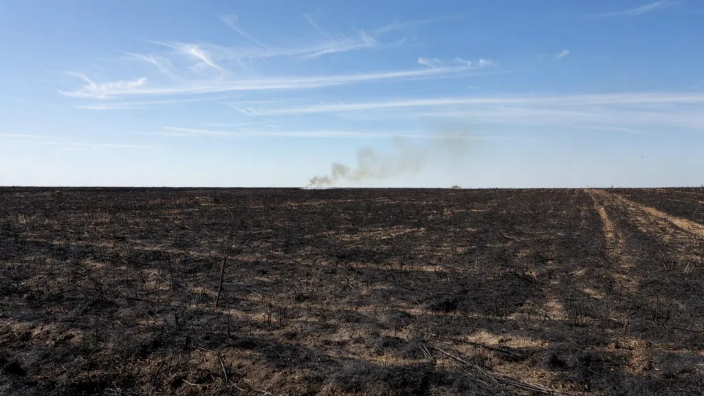 Saint-Jean-d’Angély : 8 hectares de chaume détruits par un incendie, les habitations préservées