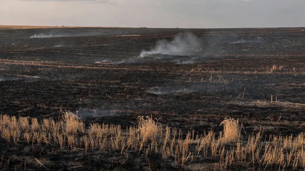 Saint-Rémy-du-Val : 12 hectares de chaume détruits par le feu