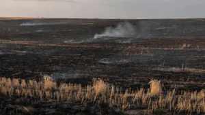 Saint-Rémy-du-Val : 12 hectares de chaume détruits par le feu