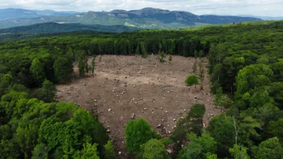 Saint-Simon : Canopée dénonce une coupe rase de 8 hectares parmi les pires du Cantal