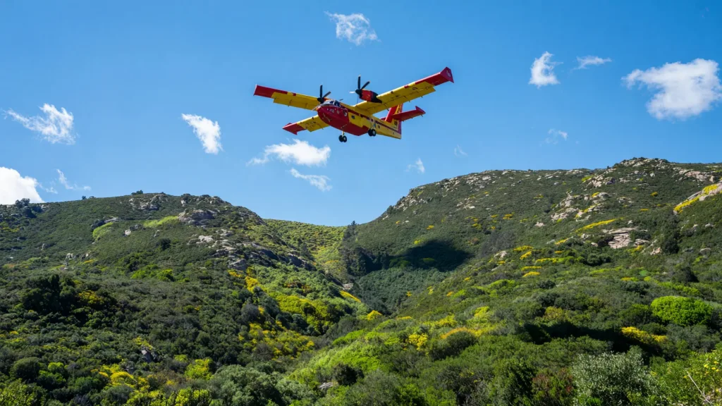 Sartène : le feu de Mola maîtrisé après avoir parcouru 2 hectares