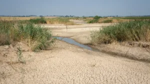 Sécheresse dans le Bas-Rhin : trois nappes en alerte, restrictions renforcées