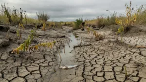 Sécheresse dans le Cher : plusieurs cours d&rsquo;eau placés en alerte rouge, restrictions renforcées