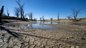 Sécheresse dans le Gers : le préfet renforce les restrictions d&rsquo;eau après la canicule