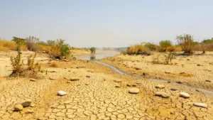 Sécheresse en Tarn-et-Garonne : le préfet durcit les restrictions d&rsquo;eau face à la baisse critique des cours d&rsquo;eau