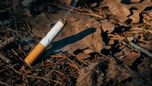 Sécheresse : la carte du risque incendie mise à jour dans les Vosges