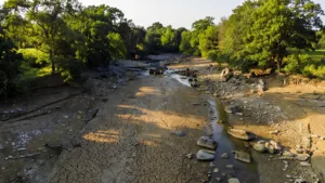 Sécheresse : trois bassins du Morbihan placés en alerte renforcée