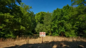 Seine-Saint-Denis : vigilance jaune feux de forêt, l&rsquo;arrêté en vigueur