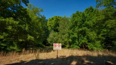 Seine-Saint-Denis : vigilance jaune feux de forêt, l'arrêté en vigueur