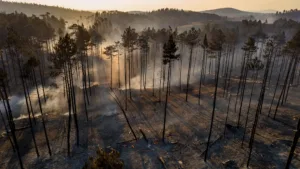 Sore : l&rsquo;incendie de forêt maîtrisé après 47 hectares détruits