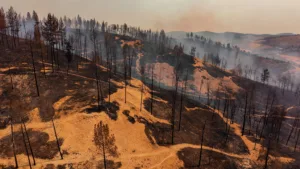 Sorgues : Stéphanie Navarro identifiée parmi les victimes de l&rsquo;incendie en Espagne