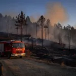 Tarn : 60 pompiers du Vaucluse envoyés en renfort sur un feu