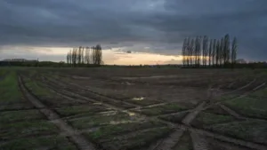 Territoire de Belfort : 150 familles évangéliques expulsées de Larivière